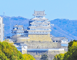 姫路の交通事故事情
