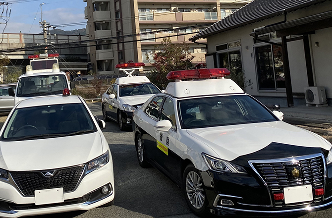サンプル